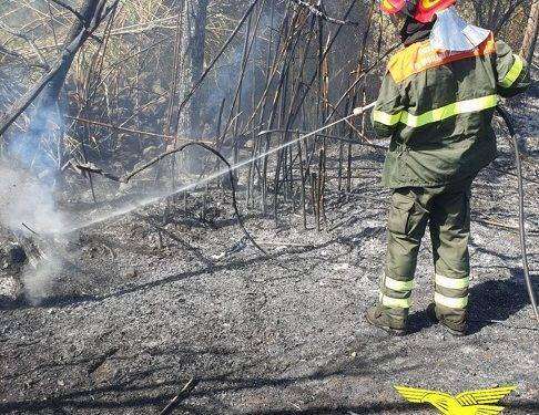 Fiamme a Siligo e Codrongianus: in azione i mezzi aerei del Corpo Forestale