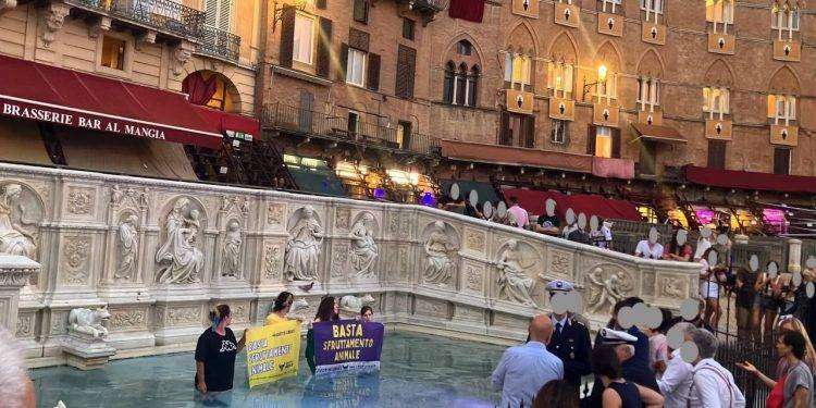 Ribellione Animale al Palio di Siena: “Basta sfruttamento animale”