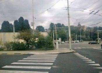 Viale Cimitero: intervento di riqualificazione del verde pubblico