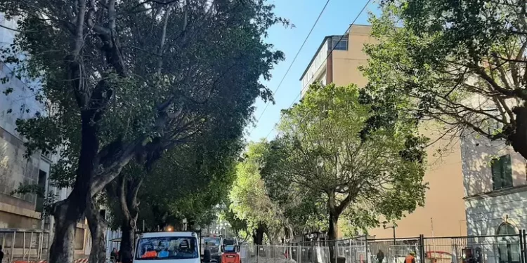 Cagliari, modifiche al traffico in viale Trieste e dintorni