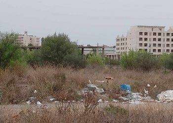 Denuncia dei cittadini: “Via Jenner è una discarica a cielo aperto”