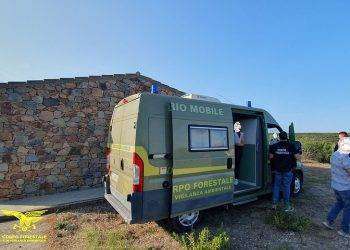 Confiscata struttura ricettiva abusiva a Pula