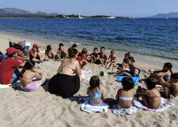 Conchiglie e reperti marini riportati in spiaggia a Le Saline