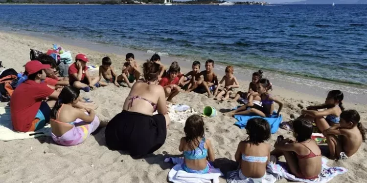 Conchiglie e reperti marini riportati in spiaggia a Le Saline