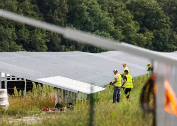 Confartigianato, mancano oltre 828mila lavoratori green