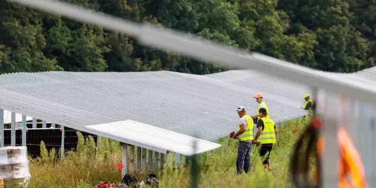 Confartigianato, mancano oltre 828mila lavoratori green