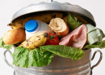 Cresce il Food Waste, ogni settimana gettati oltre 680 grammi di cibo a testa