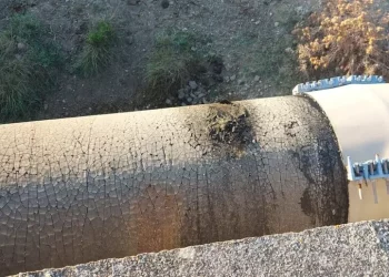 ‘Liquami vicino allo stagno di Santa Giusta’, denuncia del Grig