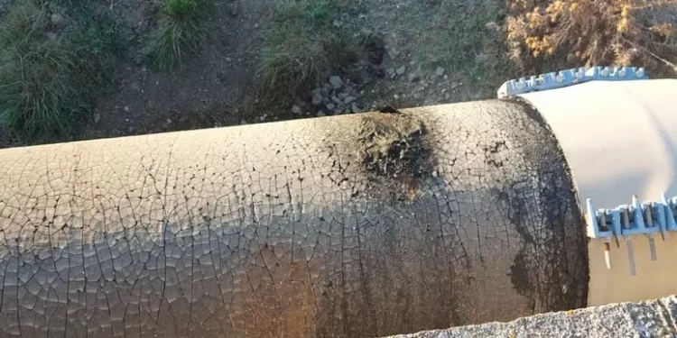 ‘Liquami vicino allo stagno di Santa Giusta’, denuncia del Grig