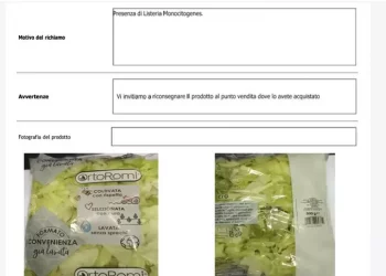 Maxirichiamo di insalata in busta per il rischio di listeria