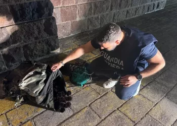 Pesca illegalmente 250 ricci, multa da 1.000 euro a Bosa