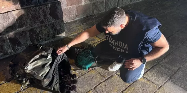 Pesca illegalmente 250 ricci, multa da 1.000 euro a Bosa