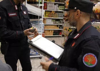 Sequestrate 8 tonnellate di pellet in un negozio cinese a Sestu