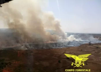 Vasto incendio nel Nuorese, intervengono due Canadair