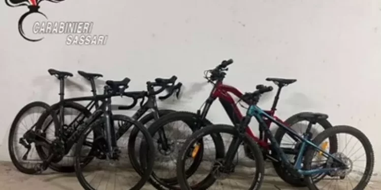 Orologi contraffatti e bici rubate trovati in container a Olbia