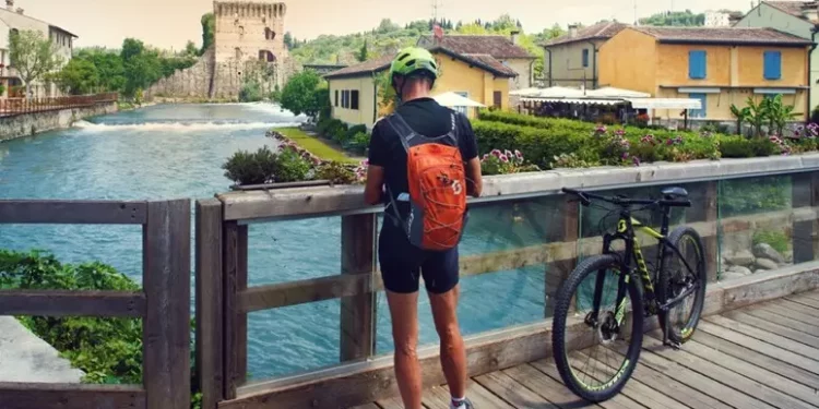 Il Garda in bici, la sponda veronese tra cantine e frantoi