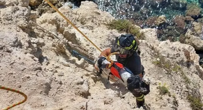 Cane precipita a Cabras: salvato dai Vigili del fuoco