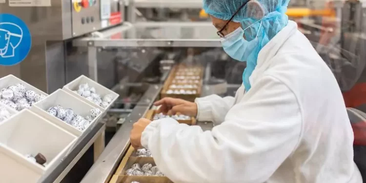 Ocse: Italia cresce dello 0,8% nel 2024, ‘resti prudente’