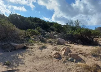 Protezione dune e numero chiuso in spiaggia Costa Smeralda