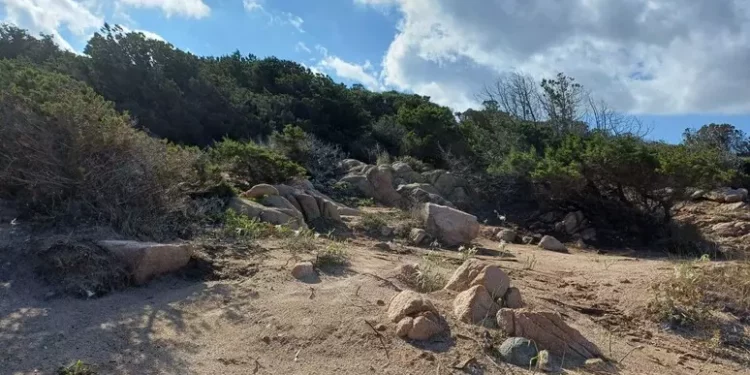 Protezione dune e numero chiuso in spiaggia Costa Smeralda