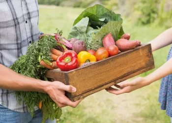 Dallo iodio alla vitamina E, una persona su 2 nel mondo è carente