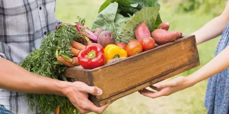 Dallo iodio alla vitamina E, una persona su 2 nel mondo è carente