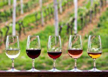 L’Italia terra di vini, ma la Francia l’ha superata. Bene l’export, crescono i vini ‘naturali’