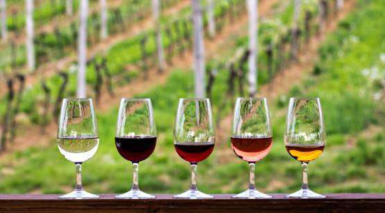 L’Italia terra di vini, ma la Francia l’ha superata. Bene l’export, crescono i vini ‘naturali’