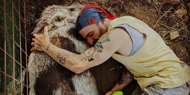 A un anno dall’uccisione dei nove maiali nel loro rifugio arriva a Cagliari il film “Cuori Liberi, fino all’ultimo respiro”