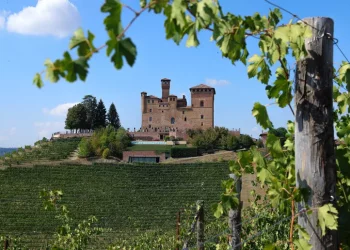 ‘Barolo en primeur’, il 25 torna l’asta benefica internazionale