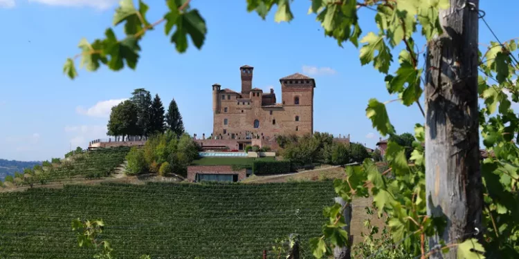 ‘Barolo en primeur’, il 25 torna l’asta benefica internazionale