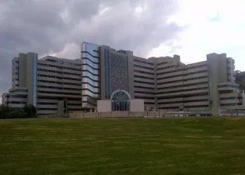 Si sente male e chiama il 118, nella pancia 90 ovuli di eroina