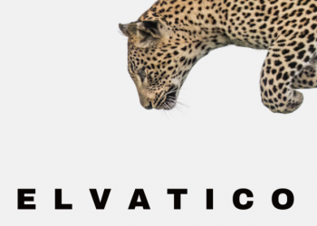 Sassari, “Sostenibilità in autunno”, il secondo appuntamento è “Selvatico”