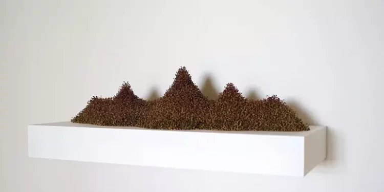 Quattro esposizioni al Man, un autunno di cultura a Nuoro