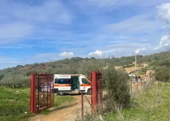 Sgombero nelle campagne di Quartu di un canile ‘lager’