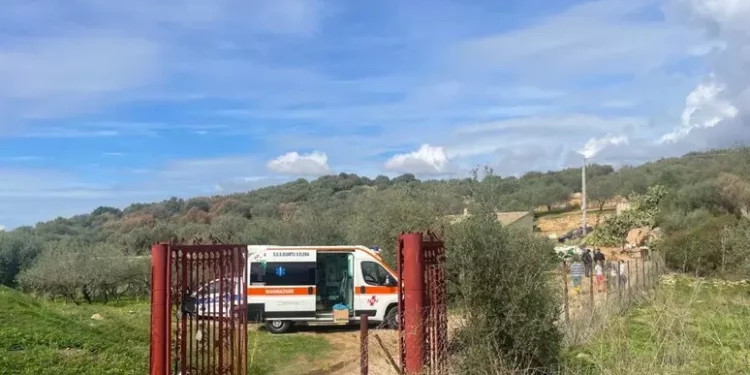 Sgombero nelle campagne di Quartu di un canile ‘lager’