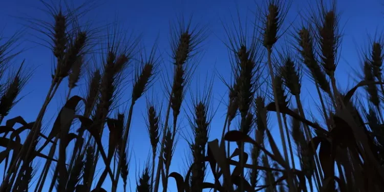 Agenzia Entrate, al via il credito di imposta per il sud