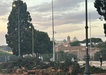 Indagine su alberi caduti a Roma, in 23 rischiano processo