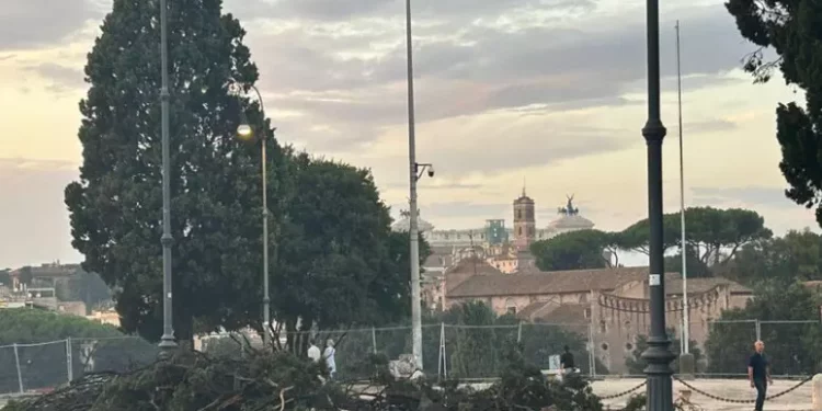 Indagine su alberi caduti a Roma, in 23 rischiano processo