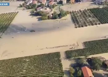A Faenza torna il Mei tra musica e solidarietà per alluvione
