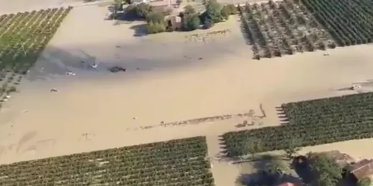 A Faenza torna il Mei tra musica e solidarietà per alluvione