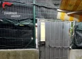 Spaccio di droga nell’asilo occupato, un arresto a Sassari