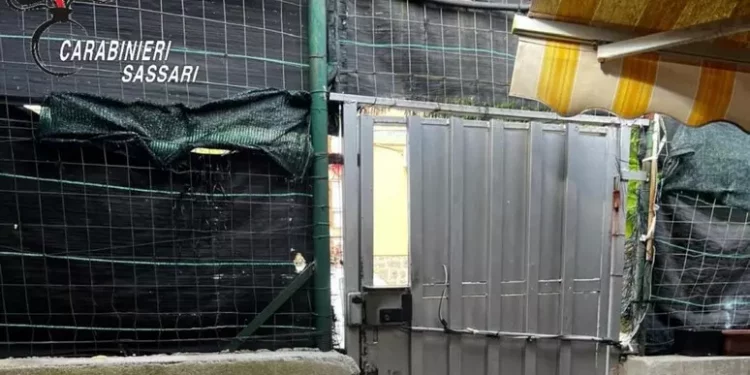 Spaccio di droga nell’asilo occupato, un arresto a Sassari