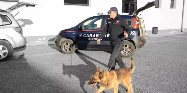 Tiene i cani tra i rifiuti e senz’acqua, denunciato 40enne