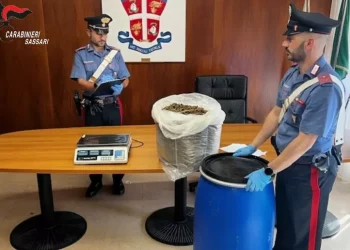 Nasconde 5 kg di marijuana in camera da letto, arrestato
