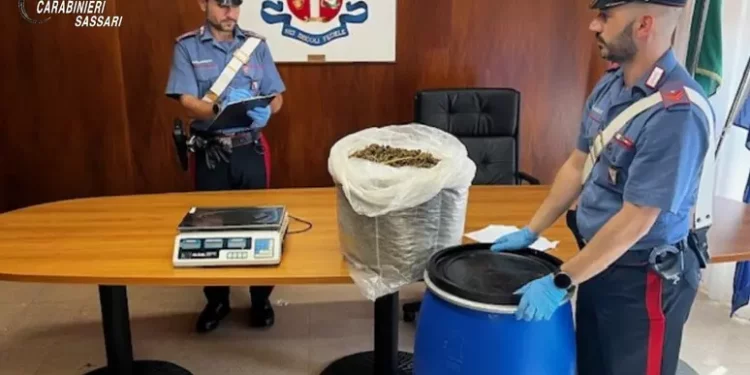 Nasconde 5 kg di marijuana in camera da letto, arrestato