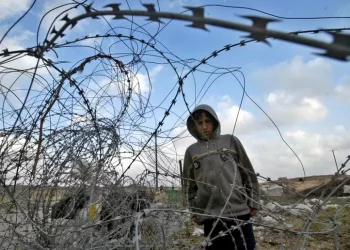 Al via raccolta fondi per fattorie distrutte in Cisgiordania occupata