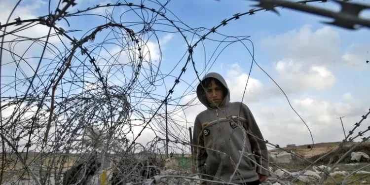 Al via raccolta fondi per fattorie distrutte in Cisgiordania occupata