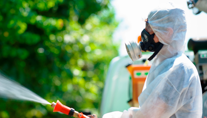 Cagliari, venerdì 18 ottobre 2024 disinfestazione contro le blatte