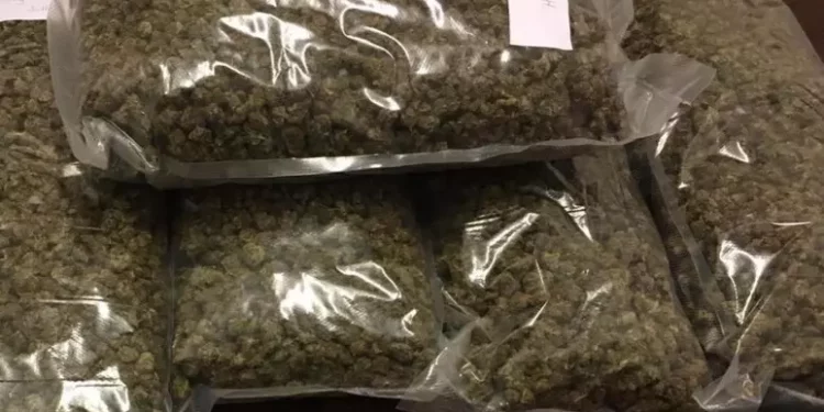 Cinque chili di marijuana in casa, arrestato a Cannigione